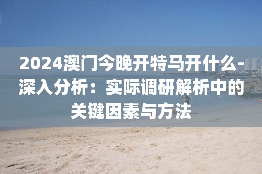 2024澳門今晚開特馬開什么-深入分析：實際調研解析中的關鍵因素與方法