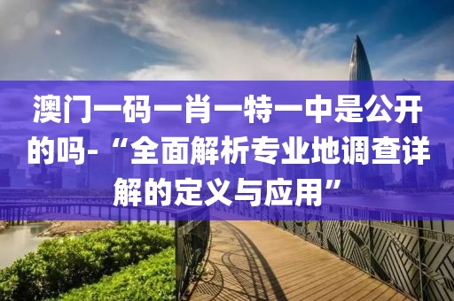 澳門一碼一肖一特一中是公開的嗎-“全面解析專業地調查詳解的定義與應用”