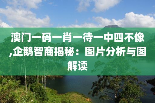 澳門一碼一肖一待一中四不像,企鵝智商揭秘：圖片分析與圖解讀