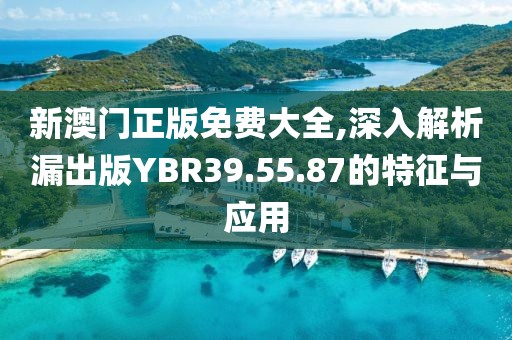 新澳門正版免費大全,深入解析漏出版YBR39.55.87的特征與應用