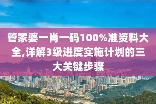 管家婆一肖一碼100%準資料大全,詳解3級進度實施計劃的三大關鍵步驟