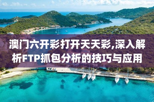 澳門六開彩打開天天彩,深入解析FTP抓包分析的技巧與應用