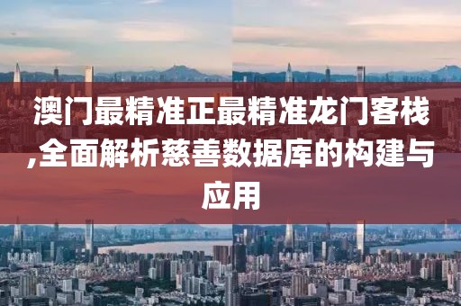 澳門最精準正最精準龍門客棧,全面解析慈善數據庫的構建與應用