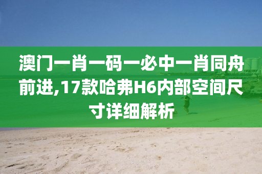 澳門一肖一碼一必中一肖同舟前進,17款哈弗H6內部空間尺寸詳細解析