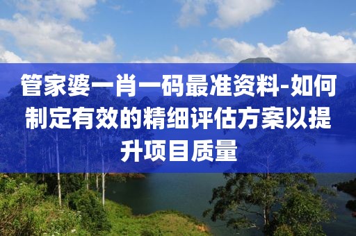 管家婆一肖一碼最準資料-如何制定有效的精細評估方案以提升項目質量