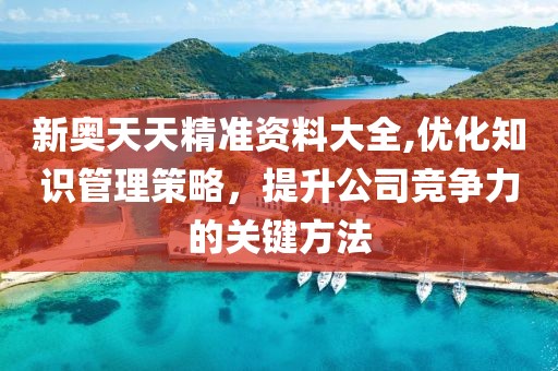 新奧天天精準資料大全,優化知識管理策略，提升公司競爭力的關鍵方法