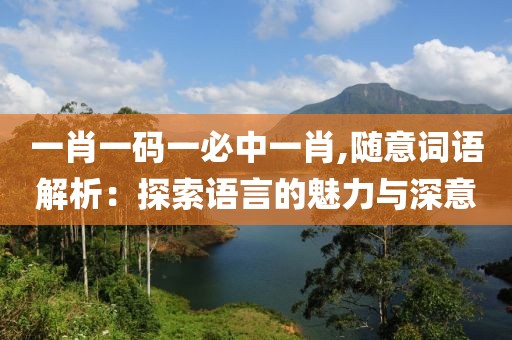 一肖一碼一必中一肖,隨意詞語解析：探索語言的魅力與深意