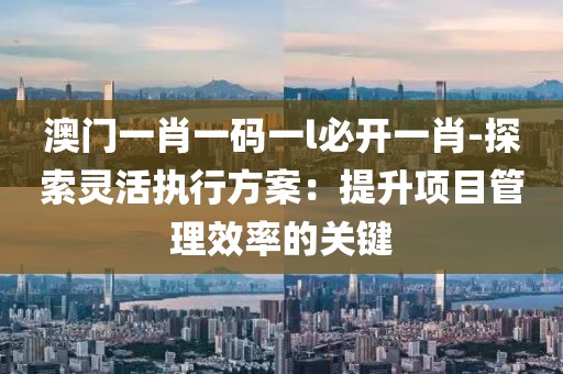 澳門一肖一碼一l必開一肖-探索靈活執行方案：提升項目管理效率的關鍵