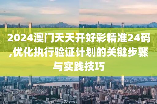 2024澳門天天開好彩精準24碼,優化執行驗證計劃的關鍵步驟與實踐技巧