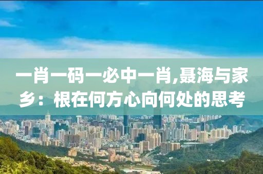 一肖一碼一必中一肖,聶海與家鄉：根在何方心向何處的思考