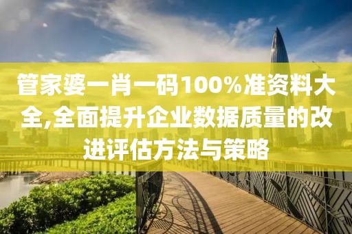 管家婆一肖一碼100%準資料大全,全面提升企業數據質量的改進評估方法與策略