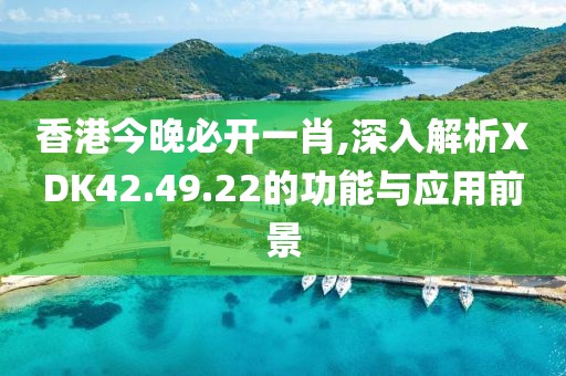香港今晚必開一肖,深入解析XDK42.49.22的功能與應用前景