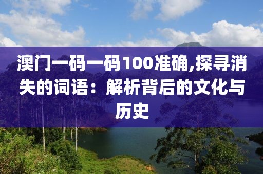 澳門一碼一碼100準確,探尋消失的詞語：解析背后的文化與歷史