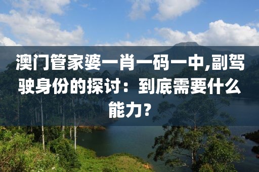 澳門管家婆一肖一碼一中,副駕駛身份的探討：到底需要什么能力？
