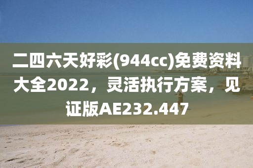 二四六天好彩(944cc)免費資料大全2022，靈活執行方案，見證版AE232.447