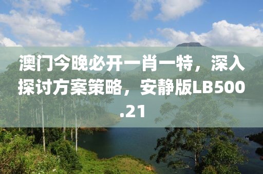 澳門今晚必開一肖一特，深入探討方案策略，安靜版LB500.21