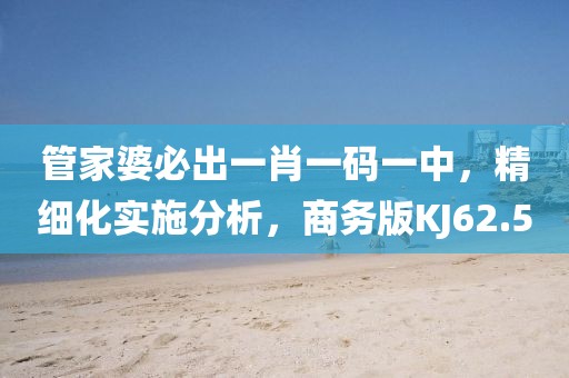 管家婆必出一肖一碼一中，精細化實施分析，商務版KJ62.5