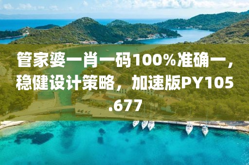 管家婆一肖一碼100%準確一，穩健設計策略，加速版PY105.677