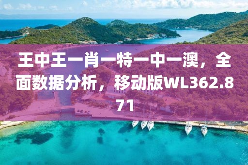 王中王一肖一特一中一澳，全面數據分析，移動版WL362.871