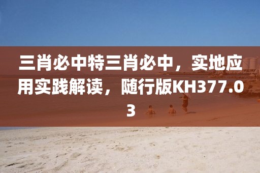 三肖必中特三肖必中，實地應用實踐解讀，隨行版KH377.03