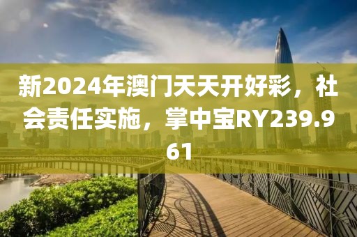 新2024年澳門天天開好彩，社會責任實施，掌中寶RY239.961