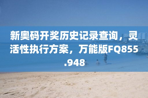 新奧碼開獎歷史記錄查詢，靈活性執行方案，萬能版FQ855.948