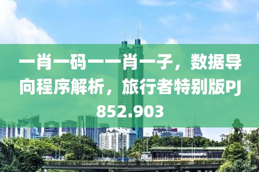 一肖一碼一一肖一子，數據導向程序解析，旅行者特別版PJ852.903