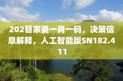 202管家婆一肖一碼，決策信息解釋，人工智能版SN182.411