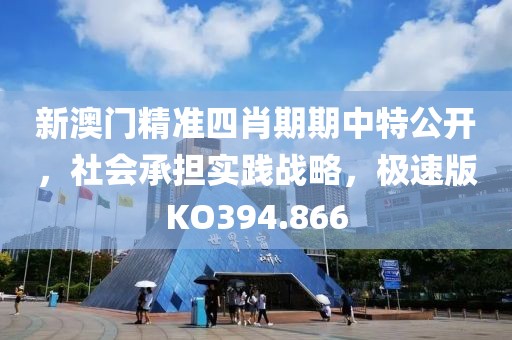 新澳門精準四肖期期中特公開，社會承擔實踐戰略，極速版KO394.866
