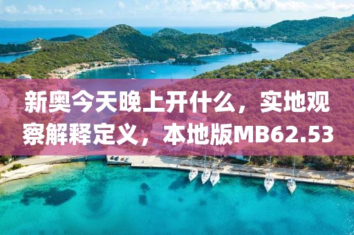 新奧今天晚上開什么，實地觀察解釋定義，本地版MB62.53