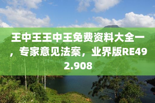 王中王王中王免費資料大全一，專家意見法案，業界版RE492.908