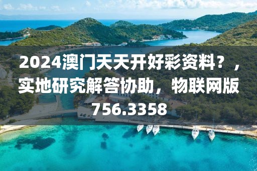 2024澳門天天開好彩資料？，實地研究解答協助，物聯網版756.3358