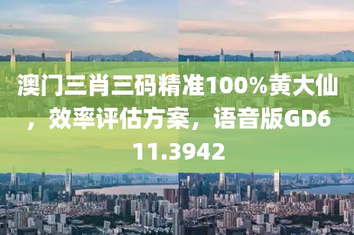 澳門三肖三碼精準100%黃大仙，效率評估方案，語音版GD611.3942