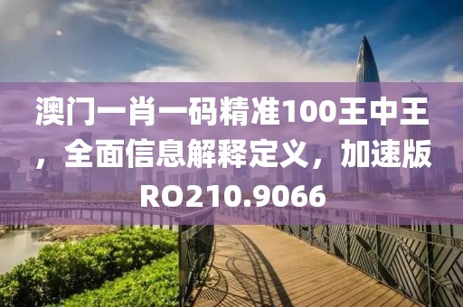 澳門一肖一碼精準100王中王，全面信息解釋定義，加速版RO210.9066