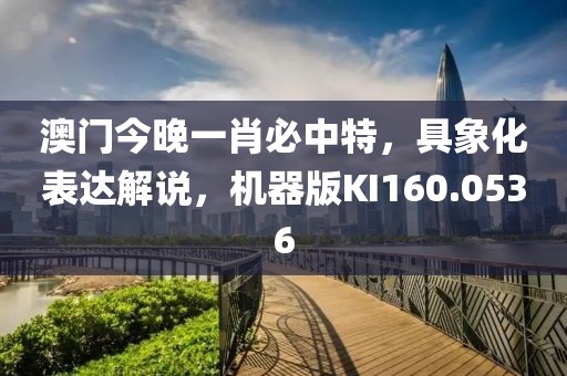 澳門今晚一肖必中特，具象化表達解說，機器版KI160.0536