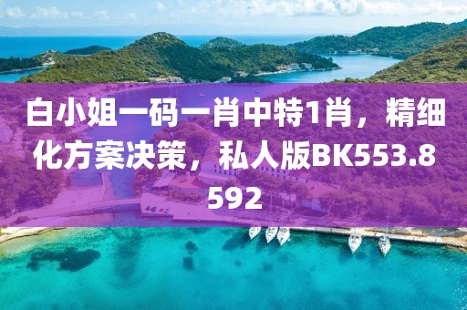 白小姐一碼一肖中特1肖，精細化方案決策，私人版BK553.8592