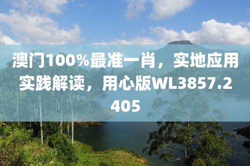 澳門100%最準一肖，實地應用實踐解讀，用心版WL3857.2405
