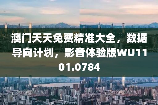 澳門天天免費精準大全，數據導向計劃，影音體驗版WU1101.0784