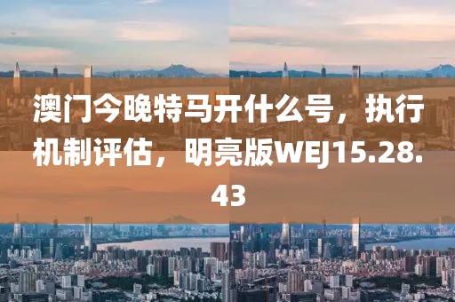 澳門今晚特馬開什么號，執行機制評估，明亮版WEJ15.28.43