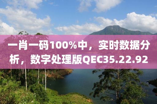一肖一碼100%中，實時數據分析，數字處理版QEC35.22.92