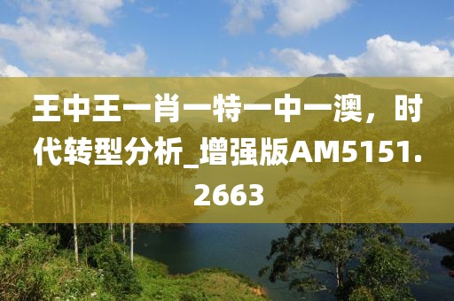 王中王一肖一特一中一澳，時代轉型分析_增強版AM5151.2663