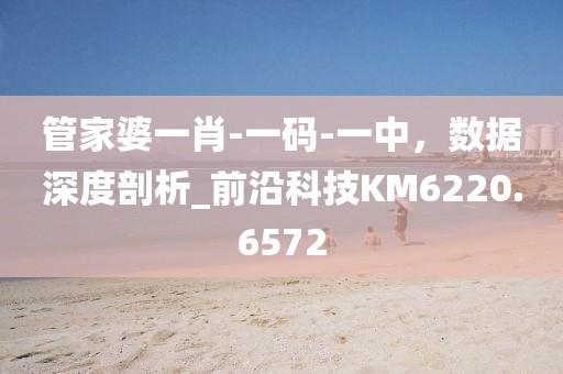 管家婆一肖-一碼-一中，數據深度剖析_前沿科技KM6220.6572