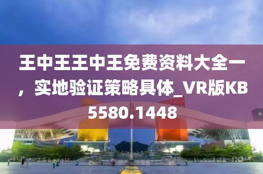 王中王王中王免費資料大全一，實地驗證策略具體_VR版KB5580.1448