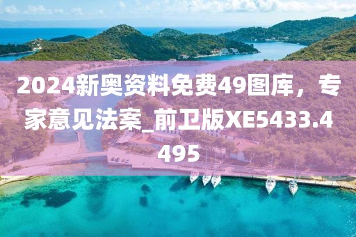 2024新奧資料免費49圖庫，專家意見法案_前衛版XE5433.4495