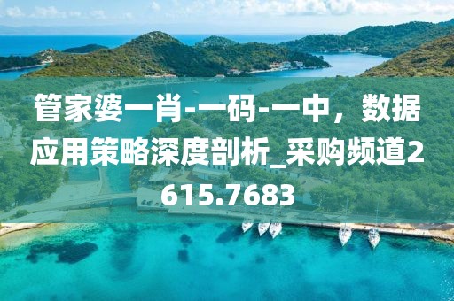 管家婆一肖-一碼-一中，數據應用策略深度剖析_采購頻道2615.7683