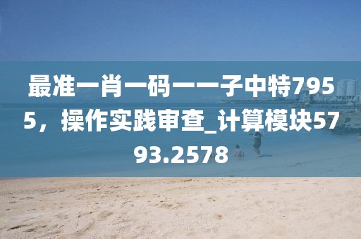 最準一肖一碼一一子中特7955，操作實踐審查_計算模塊5793.2578