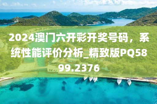 2024澳門六開彩開獎號碼，系統性能評價分析_精致版PQ5899.2376