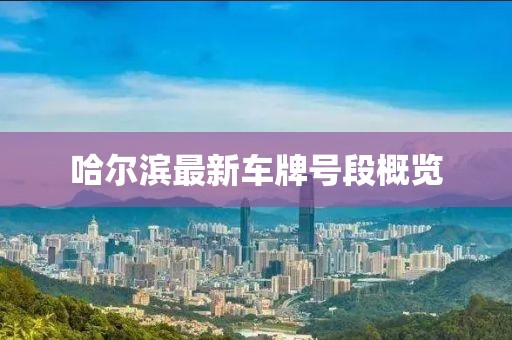 哈爾濱最新車牌號段概覽