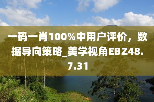 一碼一肖100%中用戶評價，數據導向策略_美學視角EBZ48.7.31