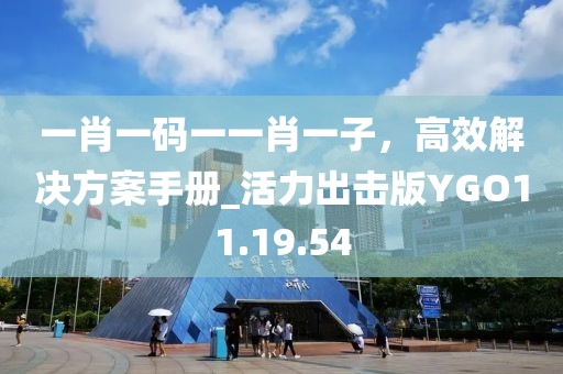 一肖一碼一一肖一子，高效解決方案手冊_活力出擊版YGO11.19.54